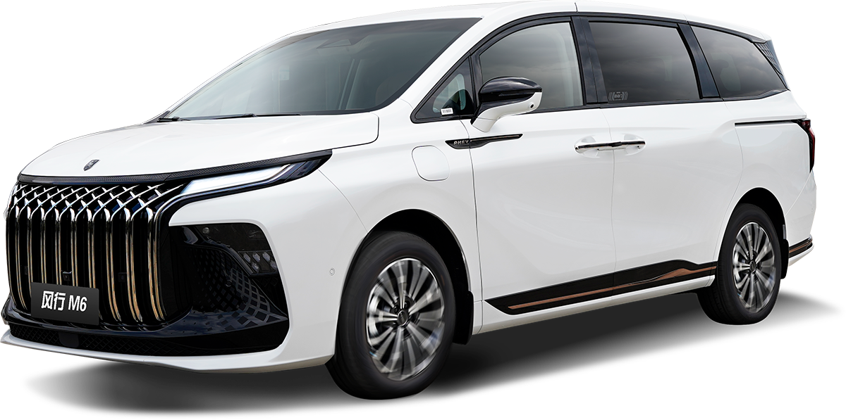 FORTHING M6 PHEV/HEV