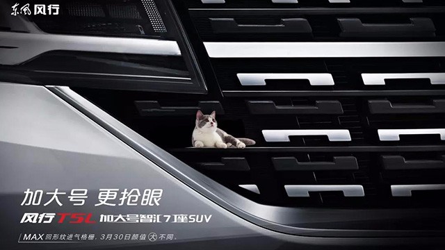 风行T5L TVC